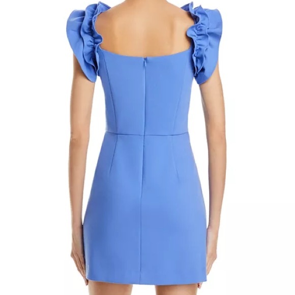 Whisper Ruffled Mini Dress - Picture 2 of 2